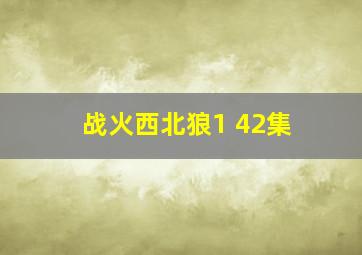 战火西北狼1 42集